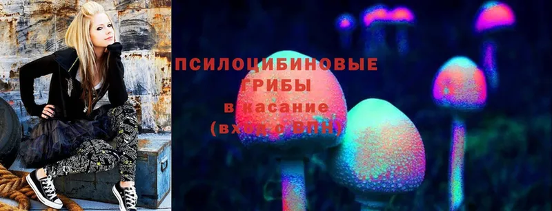 Псилоцибиновые грибы Magic Shrooms Воткинск